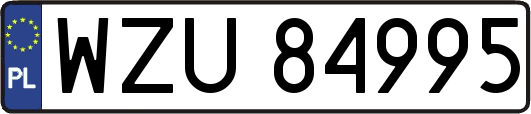 WZU84995