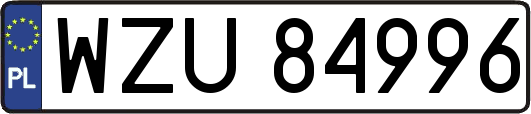 WZU84996