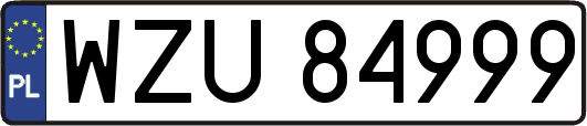 WZU84999