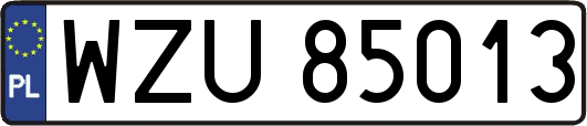 WZU85013