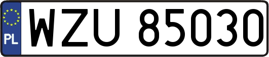 WZU85030