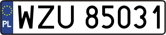 WZU85031