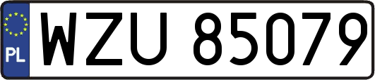 WZU85079