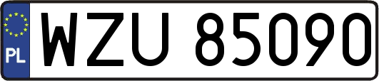 WZU85090