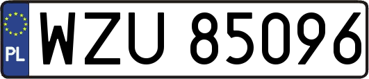 WZU85096