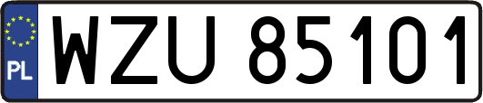 WZU85101