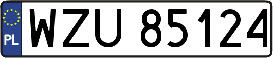 WZU85124