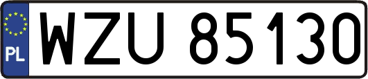 WZU85130