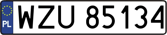 WZU85134