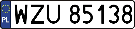 WZU85138