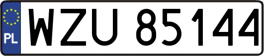 WZU85144