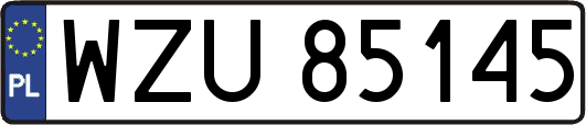WZU85145