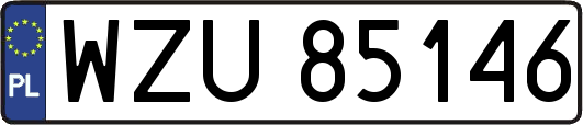 WZU85146