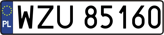 WZU85160