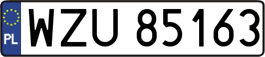 WZU85163