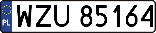 WZU85164