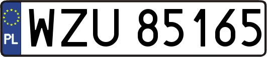 WZU85165