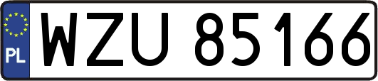 WZU85166