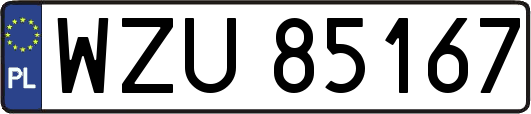WZU85167