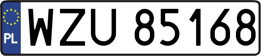 WZU85168