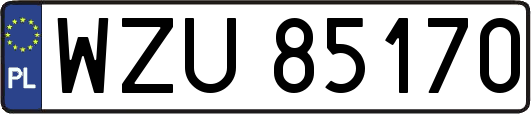 WZU85170