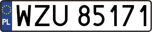 WZU85171