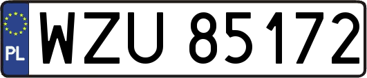 WZU85172