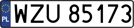 WZU85173