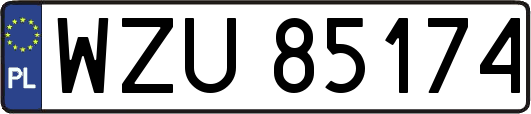 WZU85174