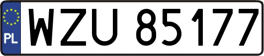 WZU85177