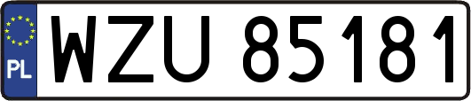 WZU85181