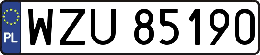WZU85190
