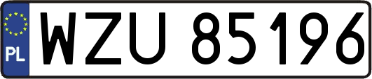 WZU85196