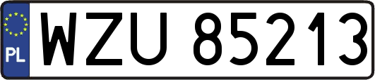 WZU85213