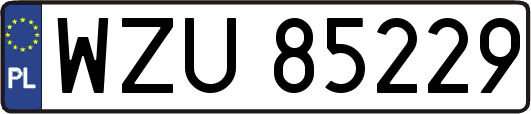 WZU85229