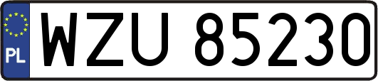 WZU85230