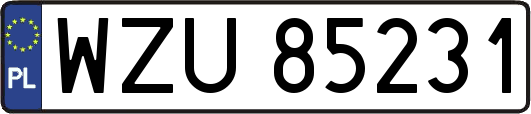 WZU85231