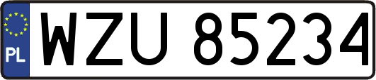 WZU85234