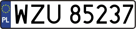 WZU85237