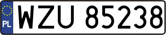 WZU85238