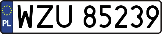 WZU85239