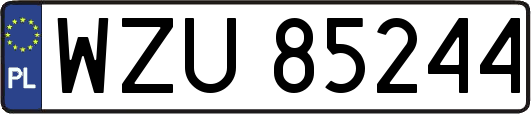 WZU85244