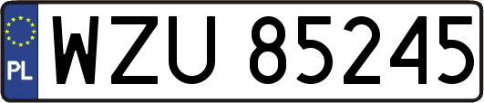 WZU85245