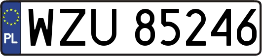 WZU85246