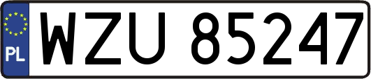 WZU85247