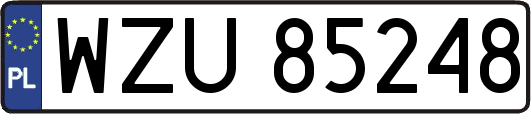 WZU85248