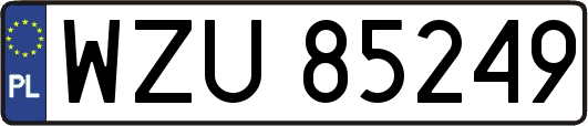 WZU85249