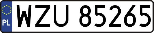 WZU85265