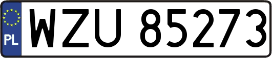 WZU85273