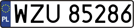 WZU85286
